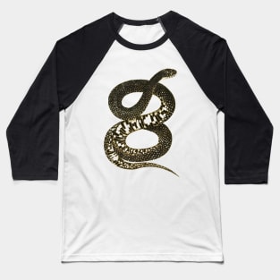 serpent,cobra,reptile,viper,venom,lizard,rattlesnake,king cobra, Baseball T-Shirt